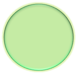 pelota